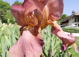 010 - challenge 1948